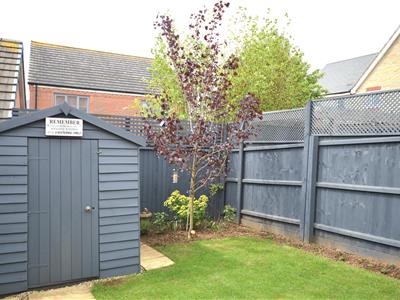 Picture 15
